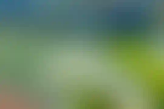 شهید مهراب رشیدی