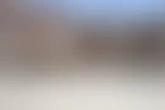 مسعود فروغی 2