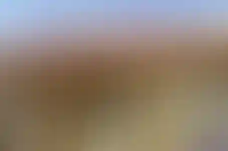 امام محمدباقر