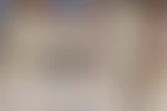 مصطفی پروینی