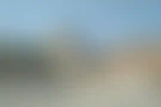 فاطمیه