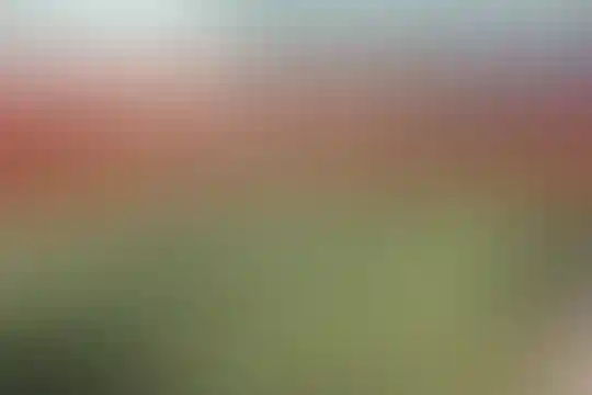 صبح روشن