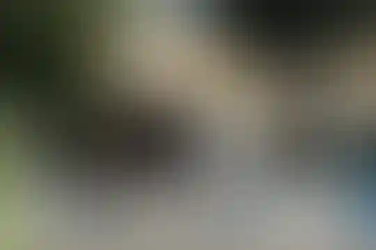 ملاصدرا