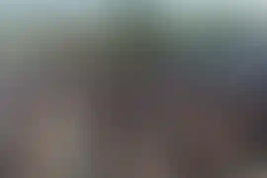 شاهد