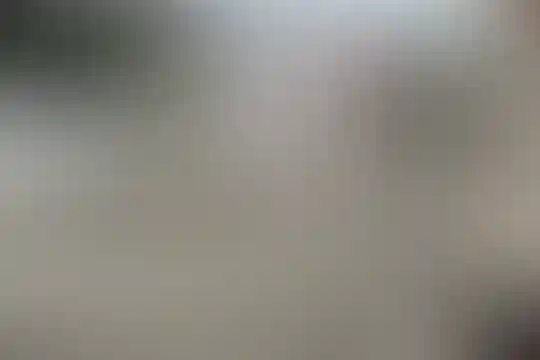 شهید پرویز امیری