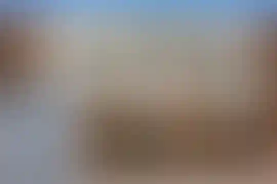 علامه طباطبایی