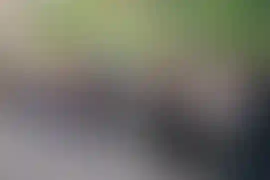 فرهنگ 1
