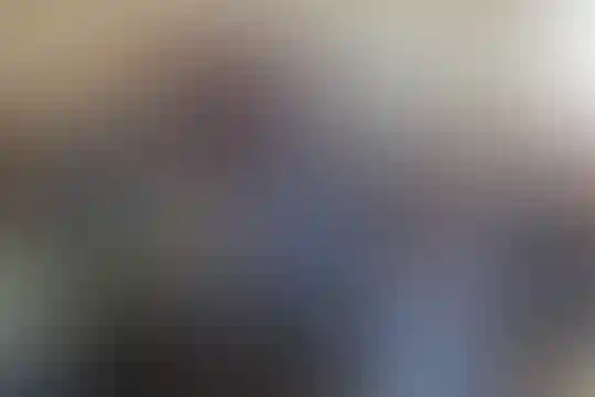 حاج فرخ سیفی
