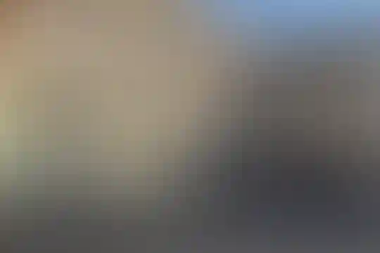 شهید صدر