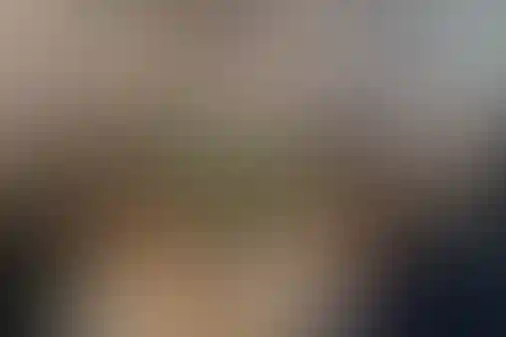 علامه طباطبایی فرمانیه