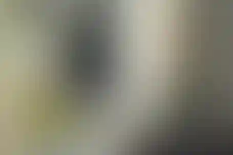 علامه طباطبایی