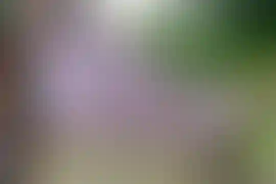 فرزانگان