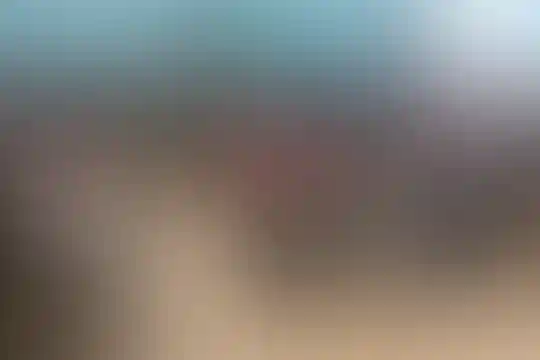 مفید 2