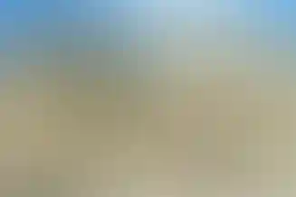 مفید 2