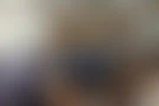مفید 2