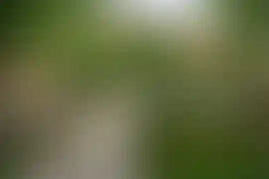 نیک پرور