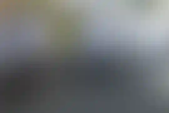 شهید علیرضا افشار