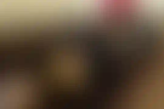 متانت نیک