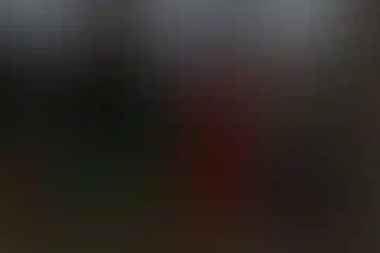 آرمینه مصلی نژاد
