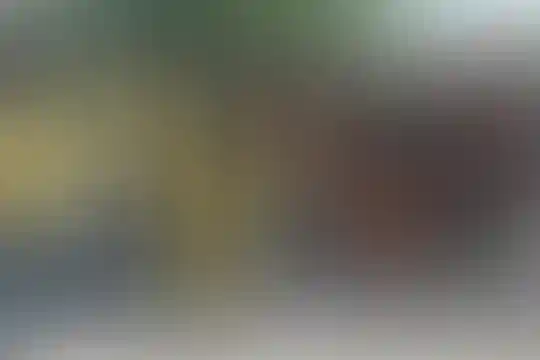 تربیت بدنی ملی پوشان