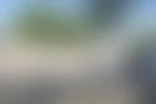 دانش پژوهان