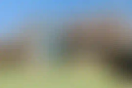 جنان