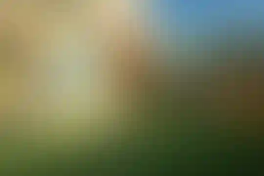 پویان مهر
