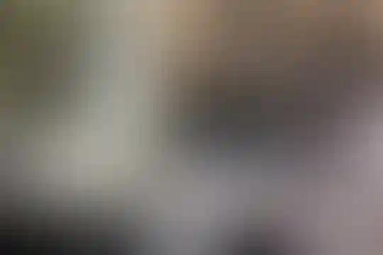 پویان مهر