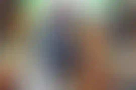 پویان مهر