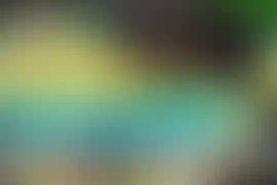 پویان مهر