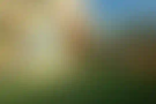 پویان مهر