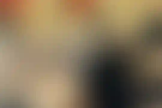 پویان مهر