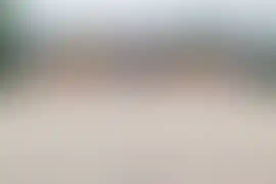ندای رسا 3