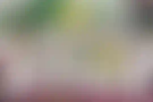 وستا