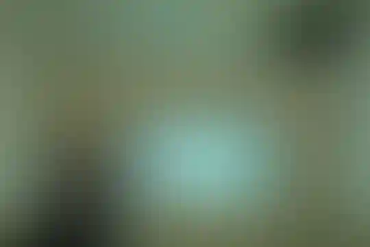 رویش خلاق
