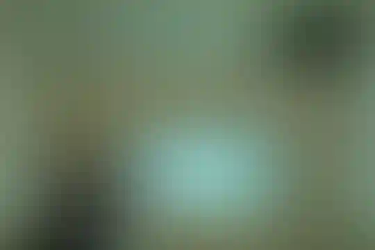رویش خلاق