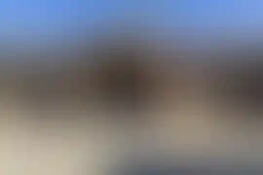 پژوهش