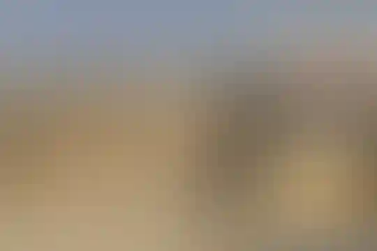 سیدالشهداء