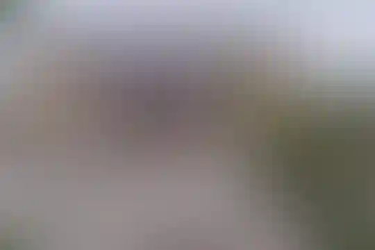 شهید بهشتی