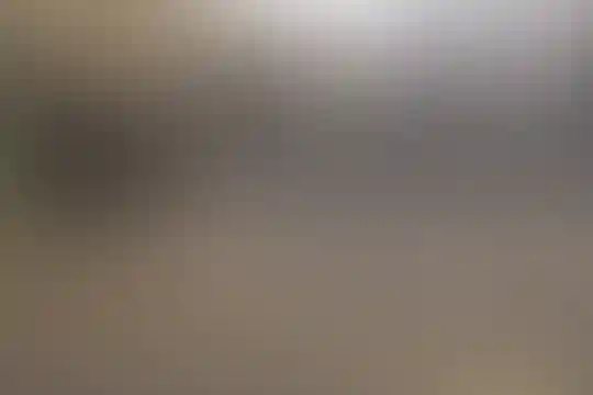 شهید حسین محمدی