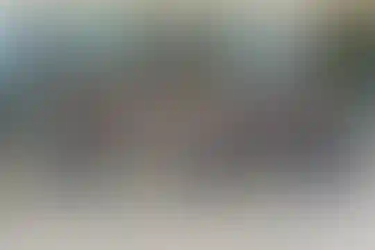 شهید دادمان 2