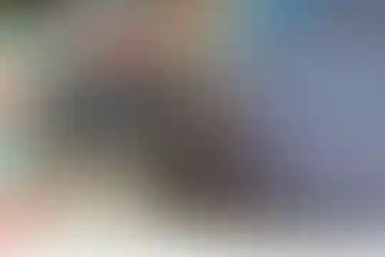 فرزانگان امین 2