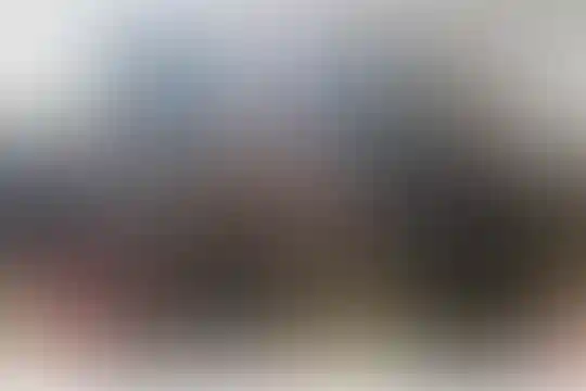 فرزانگان امین 2