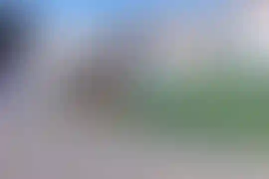 فجر 1