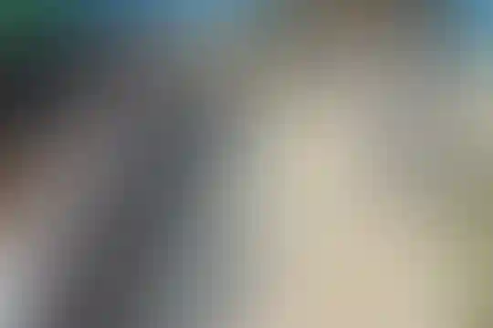 شهید علی اکبر کمالی روستا