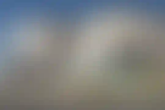 محمد رسول الله