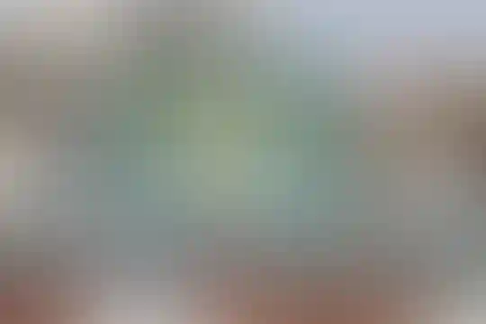 مطهری 1