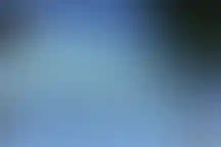 علامه جعفری