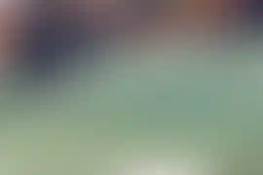 ایوب نصیر زاده