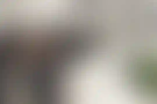 ایوب نصیر زاده
